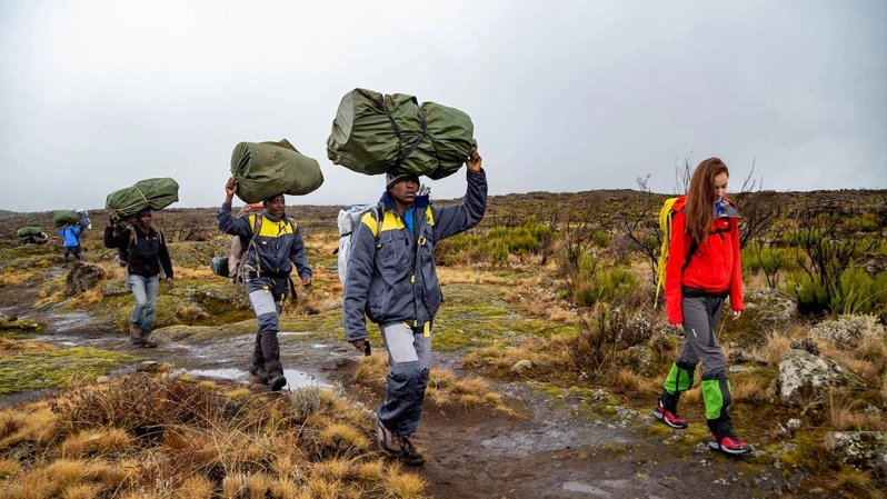 6-Day Kilimanjaro Maranguru Route and 3-Day Tanzania Safari